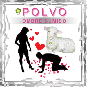 POLVO DE TRABAJO HOMBRE SUMISO EN ZENSARA